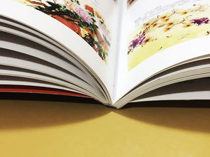 成都百鉑文化 專業(yè)打造家具家居產(chǎn)品宣傳畫冊，賦能品牌形象