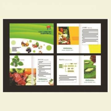 沈陽產(chǎn)品樣本設(shè)計(jì)印刷一站式服務(wù) 從創(chuàng)意設(shè)計(jì)到精美印刷的全方位解決方案