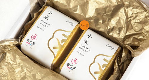 東巴客 休閑食品餐飲品牌全案設(shè)計與圖文制作的藝術(shù)融合